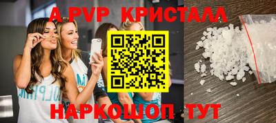 СК Кингисепп