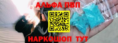 СК Кингисепп
