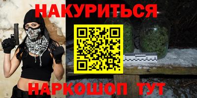 СК Кингисепп