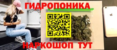 СК Кингисепп