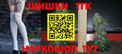 СК Кингисепп