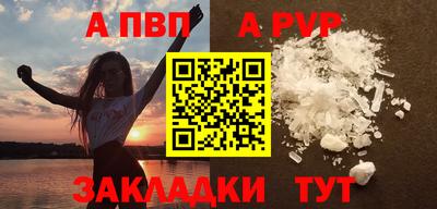 СК Кингисепп