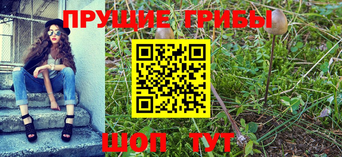 Псилоцибиновые грибы Psilocybine cubensis  Вход с VPN  Карачаевск 